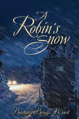 Der Schnee eines Rotkehlchens - A Robin's Snow