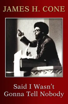 Ich sagte, ich würde es niemandem sagen: Die Entstehung eines schwarzen Theologen - Said I Wasn't Gonna Tell Nobody: The Making of a Black Theologian