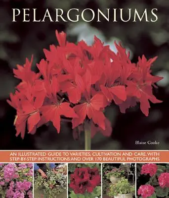 Pelargonien: Ein illustrierter Leitfaden zu Sorten, Anbau und Pflege, mit Schritt-für-Schritt-Anleitungen und über 170 schönen Fotos - Pelargoniums: An Illustrated Guide to Varieties, Cultivation and Care, with Step-By-Step Instructions and Over 170 Beautiful Photogr