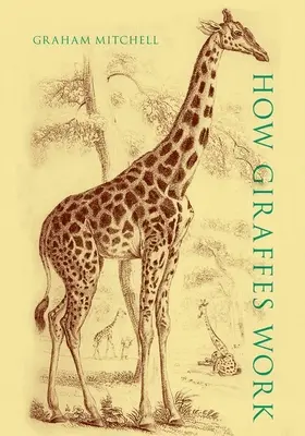 Wie Giraffen arbeiten - How Giraffes Work