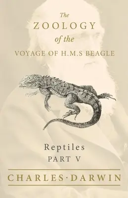 Reptilien - Teil V - Die Zoologie der Reise der H.M.S. Beagle - Reptiles - Part V - The Zoology of the Voyage of H.M.S Beagle