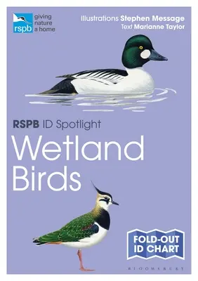 Rspb Id Spotlight - Feuchtgebietsvögel - Rspb Id Spotlight - Wetland Birds