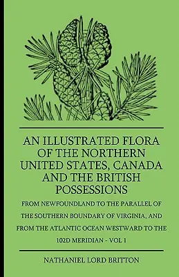 Eine illustrierte Flora der nördlichen Vereinigten Staaten, Kanadas und der britischen Besitzungen - Von Neufundland bis zur Parallele der südlichen Grenze von - An Illustrated Flora Of The Northern United States, Canada And The British Possessions - From Newfoundland To The Parallel Of The Southern Boundary Of
