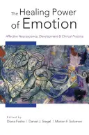 Die heilende Kraft der Emotionen: Affektive Neurowissenschaft, Entwicklung und klinische Praxis - The Healing Power of Emotion: Affective Neuroscience, Development and Clinical Practice