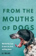 Aus den Mündern von Hunden: Was uns unsere Haustiere über Leben, Tod und Menschsein lehren - From the Mouths of Dogs: What Our Pets Teach Us about Life, Death, and Being Human