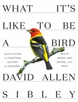 Wie es ist, ein Vogel zu sein: Vom Fliegen zum Nisten, Fressen und Singen - was Vögel tun und warum - What It's Like to Be a Bird: From Flying to Nesting, Eating to Singing--What Birds Are Doing, and Why