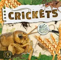 Grillen - Crickets