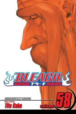 Bleach, Band 58, 58 - Bleach, Vol. 58, 58