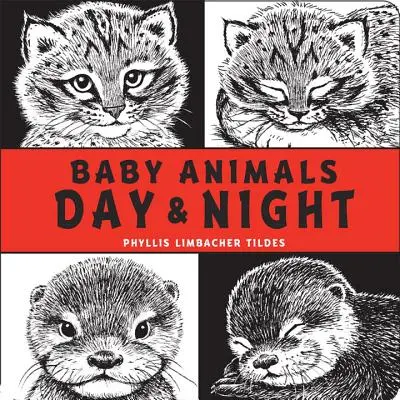 Baby-Tiere Tag & Nacht - Baby Animals Day & Night