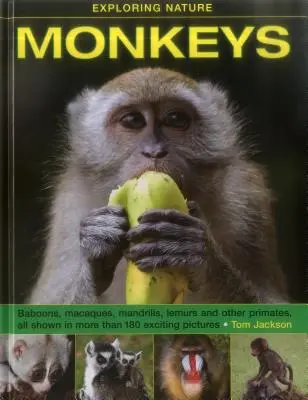 Die Natur erforschen: Affen - Exploring Nature: Monkeys