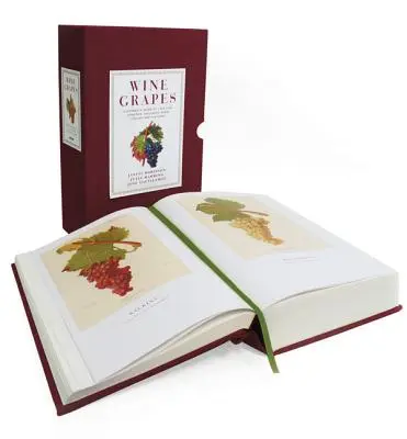 Weintrauben: Ein vollständiger Leitfaden für 1.368 Rebsorten, einschließlich ihrer Herkunft und ihres Geschmacks - Wine Grapes: A Complete Guide to 1,368 Vine Varieties, Including Their Origins and Flavours