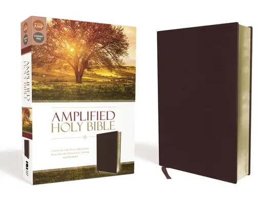 Amplified Bible-Am: Erfasst die volle Bedeutung hinter dem griechischen und hebräischen Original - Amplified Bible-Am: Captures the Full Meaning Behind the Original Greek and Hebrew