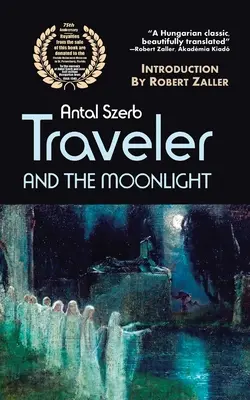 Der Reisende und das Mondlicht - Traveler and the Moonlight