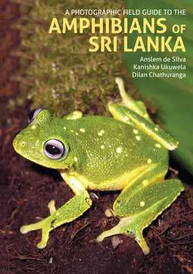 Ein fotografischer Feldführer zu den Amphibien Sri Lankas - A Photographic Field Guide to the Amphibians of Sri Lanka