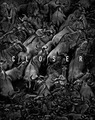 Tomasz Gudzowaty: Näher - Tomasz Gudzowaty: Closer