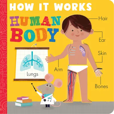 Wie es funktioniert: Der menschliche Körper - How It Works: Human Body