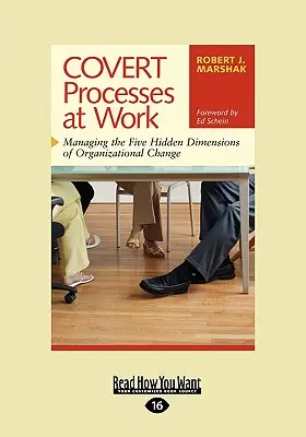 Verdeckte Prozesse bei der Arbeit: Management der fünf verborgenen Dimensionen des organisatorischen Wandels (Easyread Large Edition) - Covert Processes at Work: Managing the Five Hidden Dimensions of Organizational Change (Easyread Large Edition)