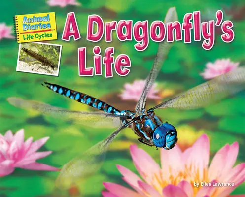 Das Leben einer Libelle - A Dragonfly's Life