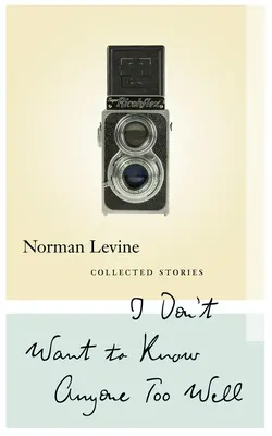 Ich will niemanden zu gut kennen: Gesammelte Geschichten - I Don't Want to Know Anyone Too Well: Collected Stories