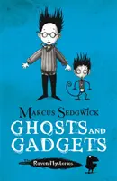 Rabengeheimnisse: Gespenster und Gadgets - Buch 2 - Raven Mysteries: Ghosts and Gadgets - Book 2