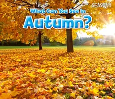 Was kann man im Herbst sehen? - What Can You See In Autumn?