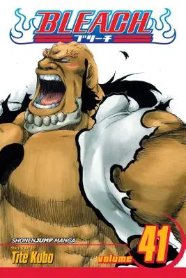 Bleach, Bd. 41, 41 - Bleach, Vol. 41, 41