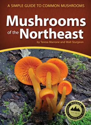 Pilze des Nordostens: Ein einfacher Leitfaden für häufige Pilze - Mushrooms of the Northeast: A Simple Guide to Common Mushrooms