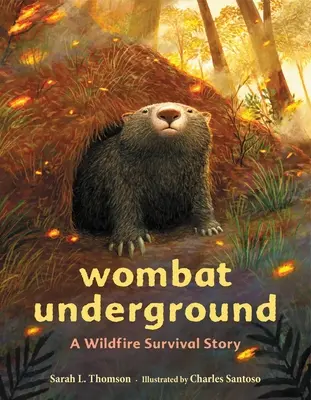 Wombat unter der Erde: Eine Geschichte über das Überleben bei einem Waldbrand - Wombat Underground: A Wildfire Survival Story