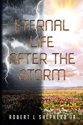 Ewiges Leben nach dem Sturm: Ein Buch über die Reise eines Christen von der Geburt bis zum ewigen Leben - Eternal Life After The Storm: A Book of a Christian's Journey from Birth to Eternal Life