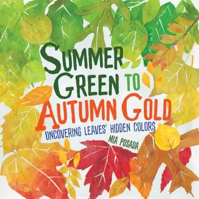 Sommergrün bis Herbstgold: Die verborgenen Farben der Blätter entdecken - Summer Green to Autumn Gold: Uncovering Leaves' Hidden Colors