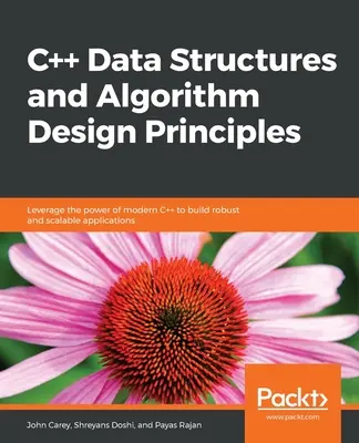 C++ Datenstrukturen und Algorithmenentwurfsgrundsätze - C++ Data Structures and Algorithm Design Principles