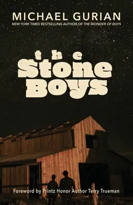 Die Stein-Jungs - The Stone Boys