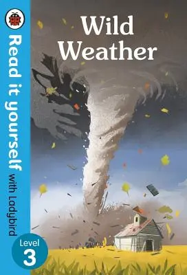 Wildes Wetter: Stufe 3 - Wild Weather: Level 3