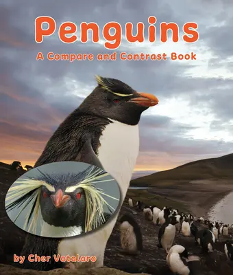 Pinguine: Ein Vergleichs- und Kontrastbuch - Penguins: A Compare and Contrast Book