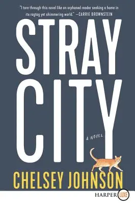 Streunende Stadt - Stray City