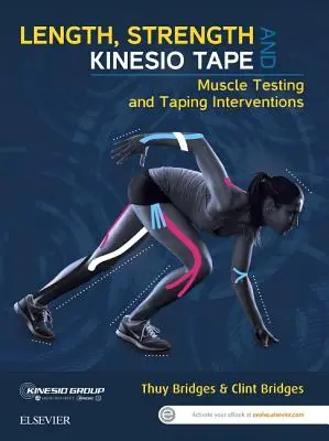 Länge, Stärke und Kinesio-Tape: Muskeltests und Taping-Interventionen - Length, Strength and Kinesio Tape: Muscle Testing and Taping Interventions