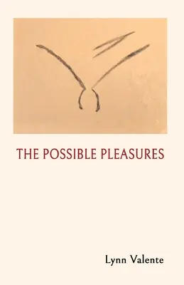 Die möglichen Vergnügungen - The Possible Pleasures