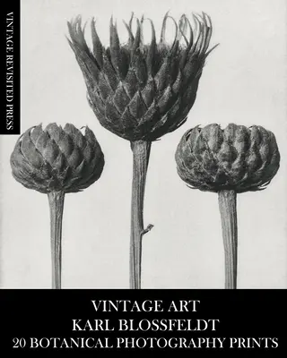 Alte Kunst: Karl Blossfeldt 20 Botanische Fotografie Drucke - Vintage Art: Karl Blossfeldt 20 Botanical Photography Prints