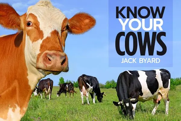 Kennen Sie Ihre Kühe - Know Your Cows