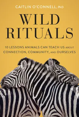 Wilde Rituale: 10 Lektionen, die uns Tiere über Verbindung, Gemeinschaft und uns selbst lehren können - Wild Rituals: 10 Lessons Animals Can Teach Us about Connection, Community, and Ourselves