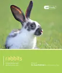 Kaninchen - Rabbit