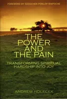 Die Kraft und der Schmerz: Spirituelle Nöte in Freude verwandeln - The Power and the Pain: Transforming Spiritual Hardship Into Joy