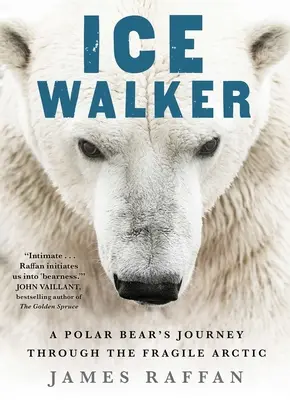 Ice Walker: Die Reise eines Eisbären durch die zerbrechliche Arktis - Ice Walker: A Polar Bear's Journey Through the Fragile Arctic