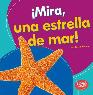 Mira, Una Estrella de Mar! (Schau, ein Seestern!) - Mira, Una Estrella de Mar! (Look, a Starfish!)