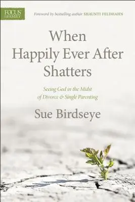 Wenn das Happy End zerbricht: Gott sehen inmitten von Scheidung und alleinerziehender Mutterschaft - When Happily Ever After Shatters: Seeing God in the Midst of Divorce & Single Parenting