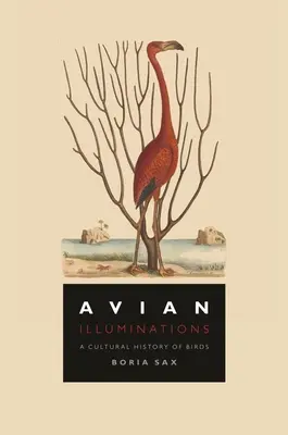 Vogelkundliche Erleuchtungen: Eine Kulturgeschichte der Vögel - Avian Illuminations: A Cultural History of Birds