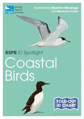 Rspb Id Spotlight - Vögel an der Küste - Rspb Id Spotlight - Coastal Birds