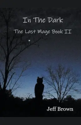 Im Dunkeln: Der letzte Magier Buch II - In The Dark: The Last Mage Book II