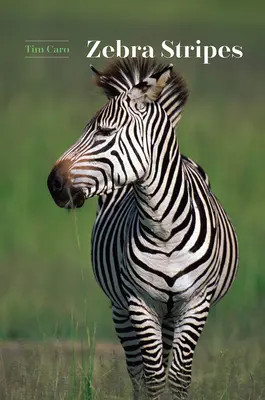 Zebra-Streifen - Zebra Stripes