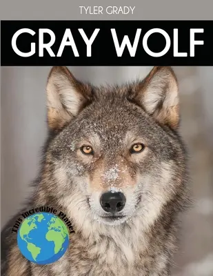 Grauer Wolf: Faszinierende Tierfakten für Kinder - Gray Wolf: Fascinating Animal Facts for Kids